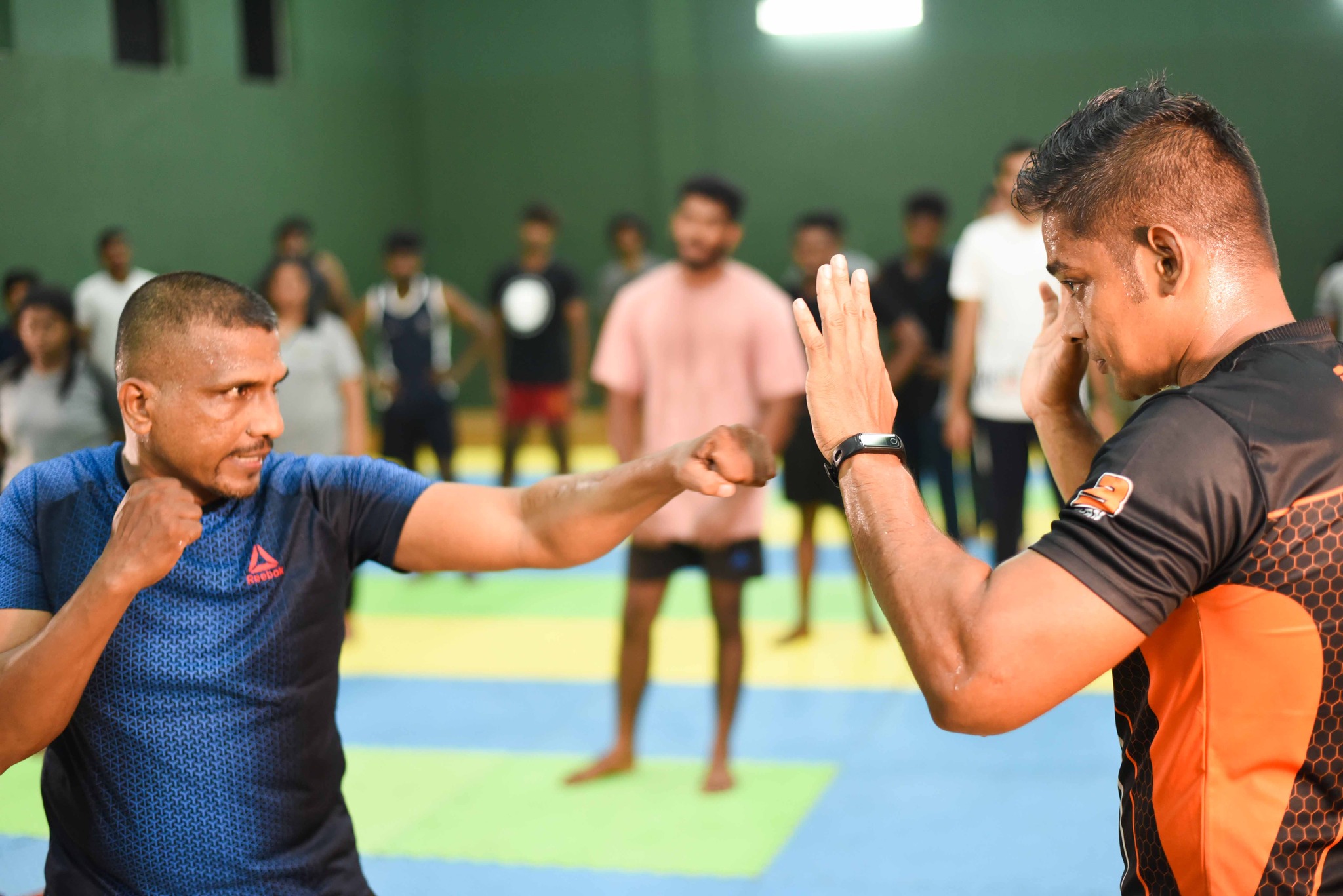 MMA (Mixed Martial Arts) Gallery