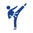 MMA (Mixed Martial Arts)